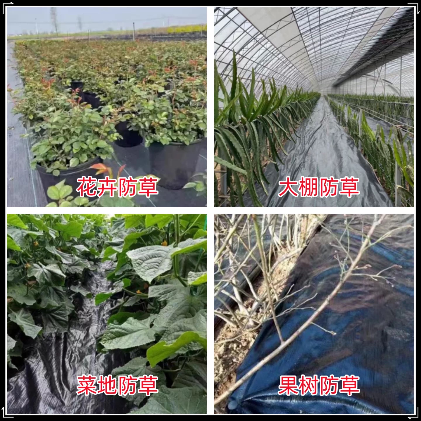 株洲市地膜防草布 - 价格