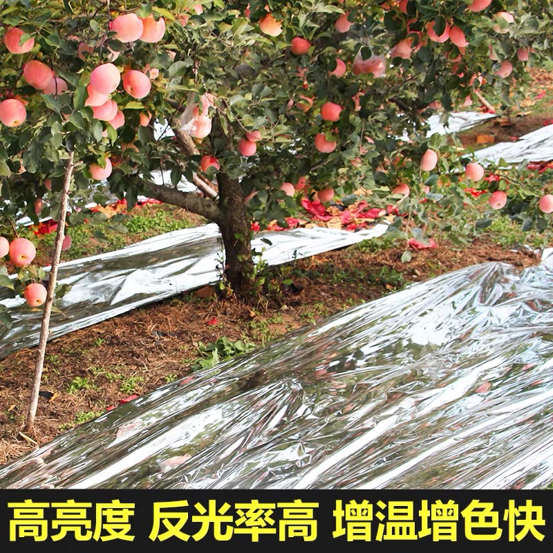 株洲市农用薄膜果树反光膜 - 方案